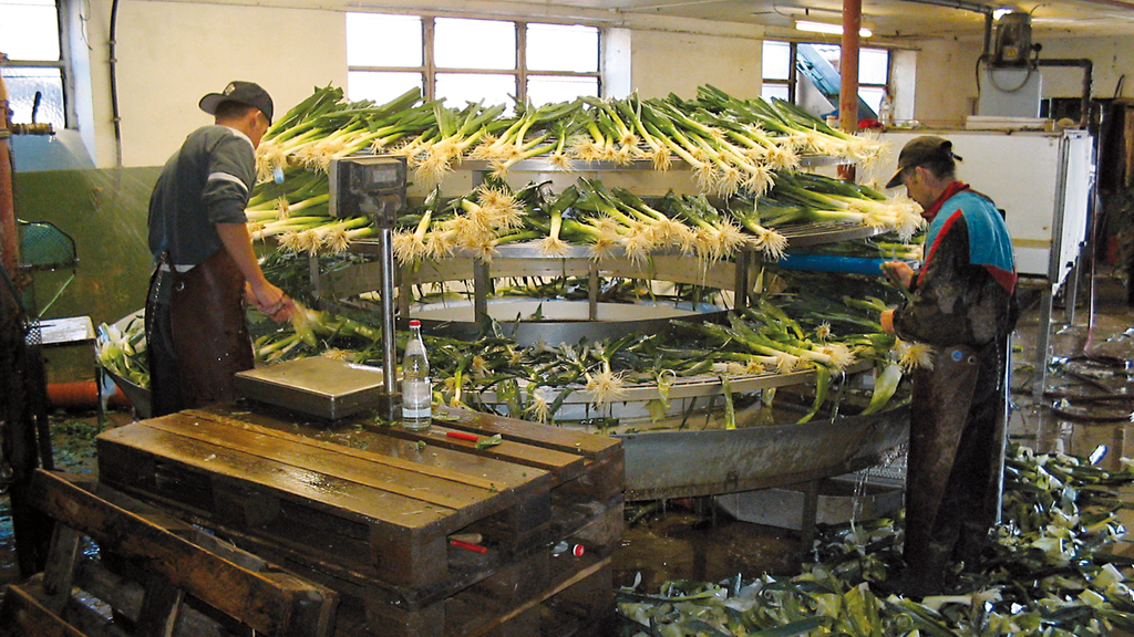 Vergrößerung des Bildes für .