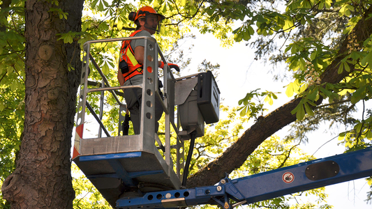 Mann in Hubarbeitsbühne