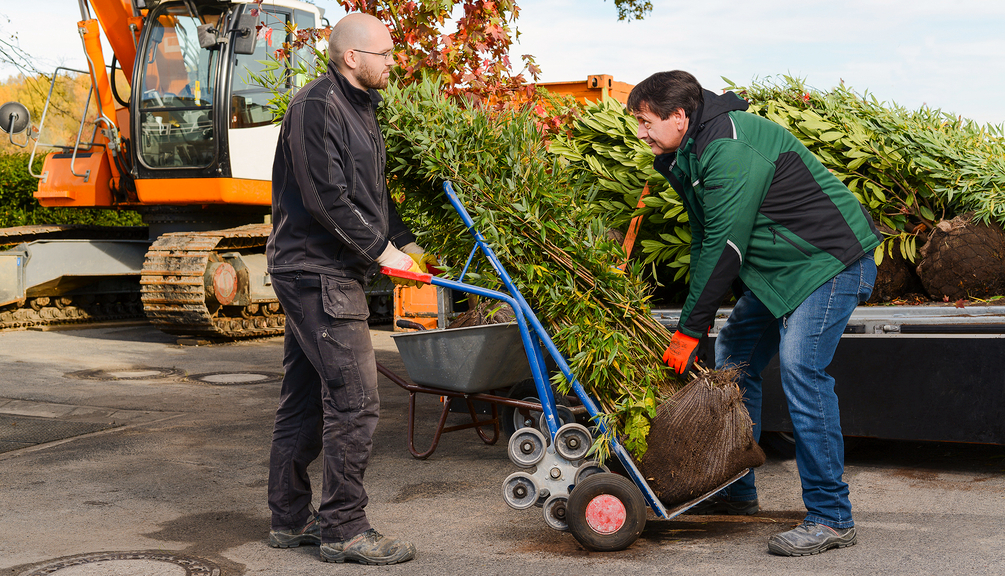 Männer beim rückengerechten Tragen