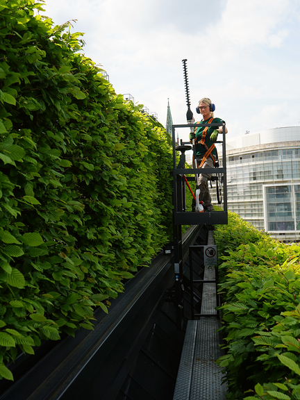 Vergrößerung des Bildes für Ein sicherer Standplatz im Arbeitskorb und eine Persönliche Schutzausrüstung gegen Absturz schützen zuverlässig..