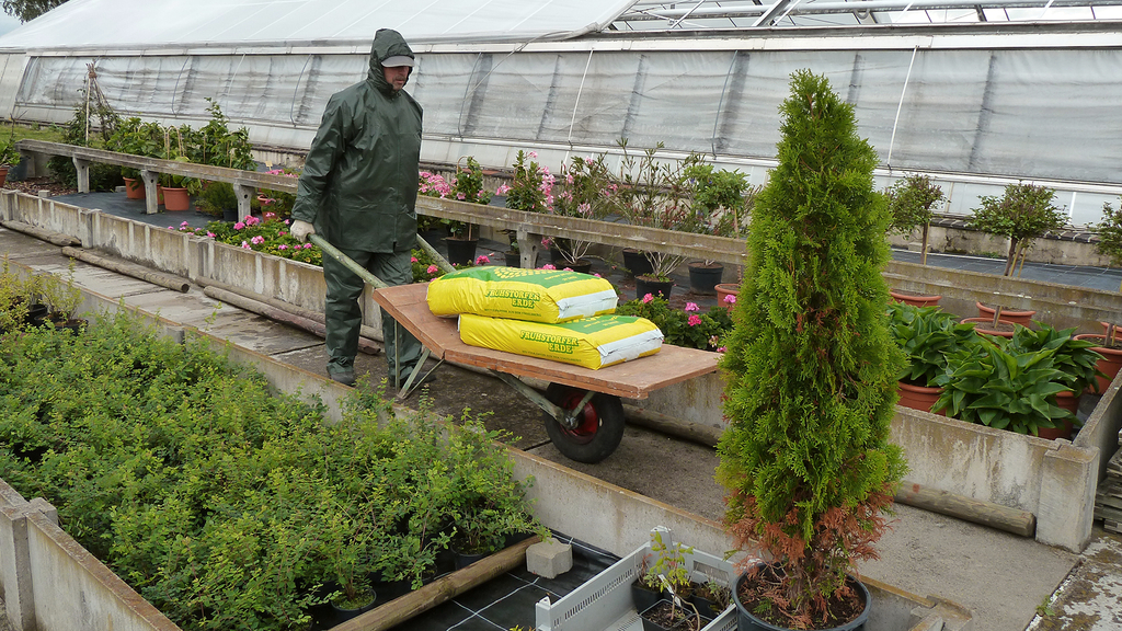 Vergrößerung des Bildes für .