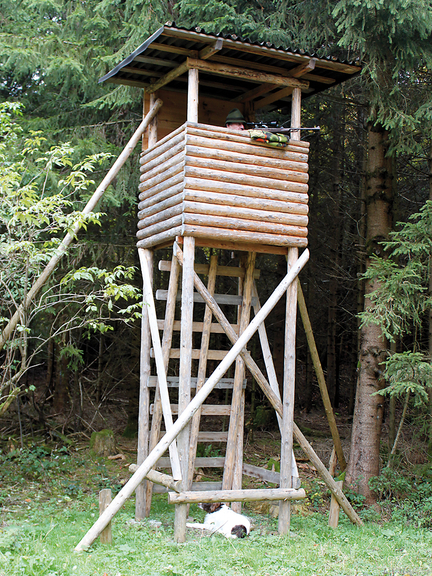 Vergrößerung des Bildes für Auf dem Bild sieht man einen Hochsitz am Waldrand. Auf dem Hochsitz ist ein Jäger und hält seine Waffe im Anschlag. Am Fuß des Hochsitzes liegt ein Jagdhund..
