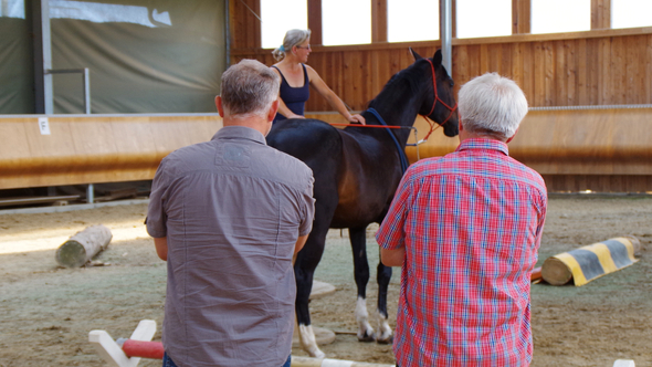 Praxisvorführung im Seminar "Pferde besser verstehen"