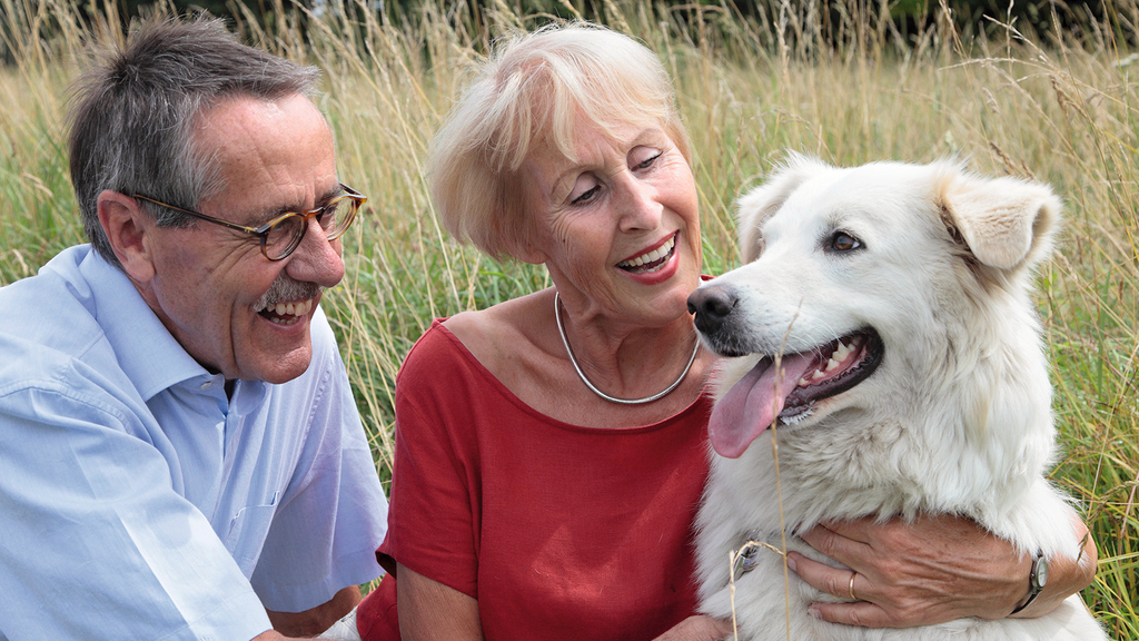 Vergrößerung des Bildes für Senioren Ehepaar mit Hund sitzt in einer Wiese.