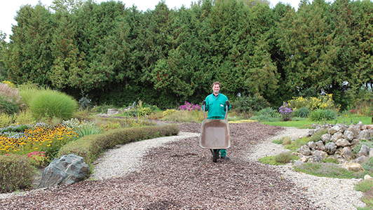 Gärtner mit Schubkarre