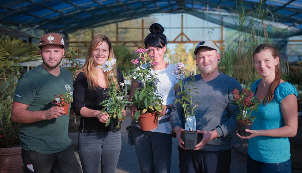 Vergrößerung des Bildes für .