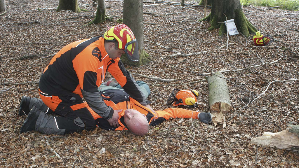 Vergrößerung des Bildes für Ein Mitarbeiter findet einen Kollegen am Boden liegend im Wald neben einem umgesägten Baum..