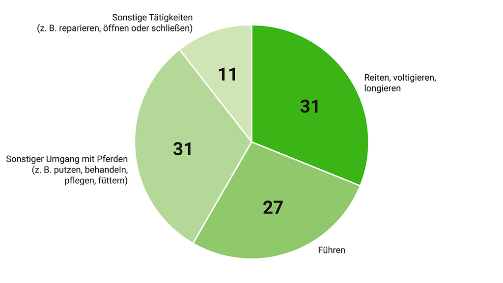 Vergrößerung des Bildes für Ein Kreisdiagramm zeigt die prozentuale Verteilung der meldepflichtigen Pferdeunfälle nach den Tätigkeiten führen, reiten (mit voltigieren und longieren), sonstiger Umgang mit Pferden und sonstige Tätigkeiten (z. B. reparieren)..