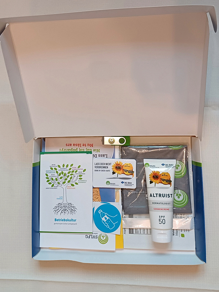 Vergrößerung des Bildes für aufgeklappter Karton mit Hitzeschutzprodukten.