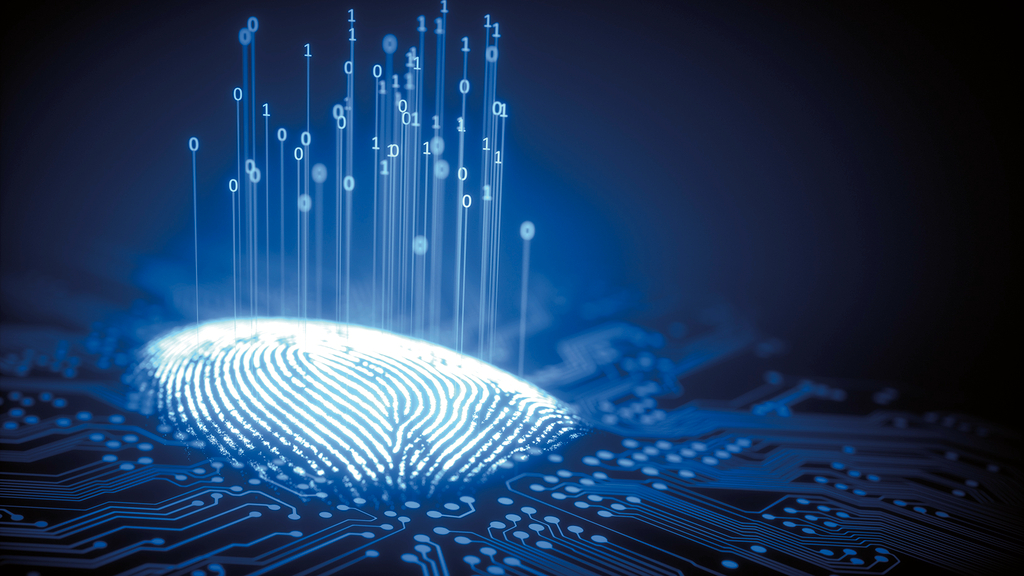 Vergrößerung des Bildes für .