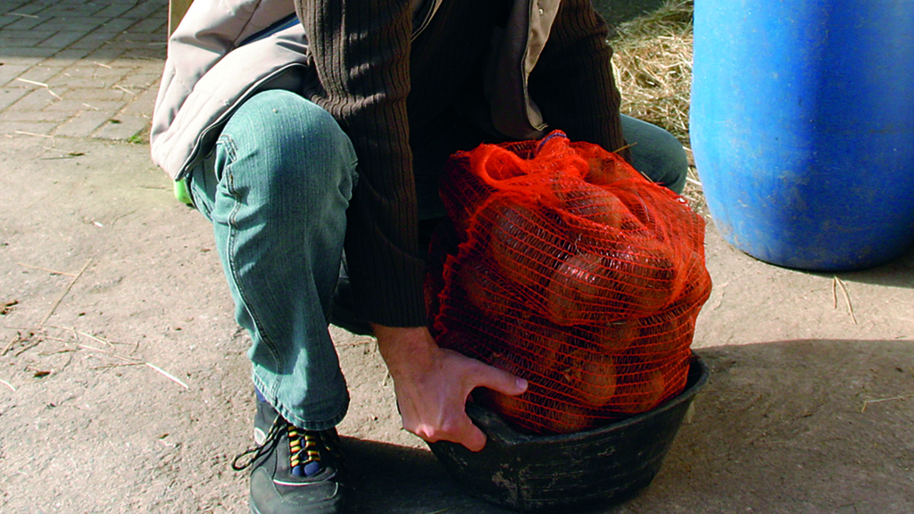 Vergrößerung des Bildes für Person hebt einen Sack Kartoffeln hoch. Dabei geht sie in die Knie. .