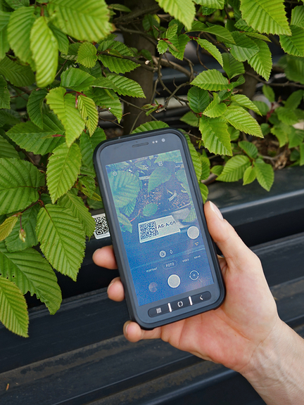 Vergrößerung des Bildes für Einscannen der QR-Codes am Pflanzkübel.