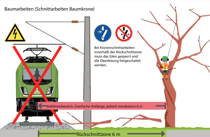 Vergrößerung des Bildes für Das Bild zeigt Baumarbeiten nahe Bahngleisen. Ein rotes "X" markiert den Gefahrenbereich (mindestens 6 m oder doppelte Astlänge). Ein Arbeiter im Baum arbeitet mit Schutzkleidung. Hinweis: Bei Arbeiten in der Rückschnittzone (6 m) müssen Gleise gesperrt und Oberleitungen freigeschaltet werden. Symbole warnen vor Stromgefahr..