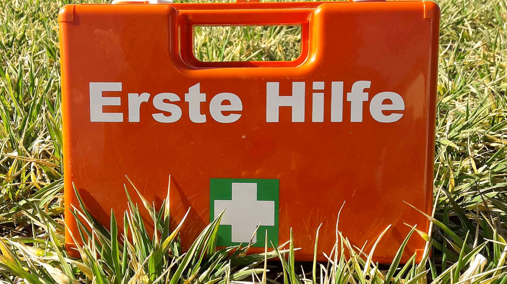 Vergrößerung des Bildes für Ein Verbandskasten steht auf einer Wiese..