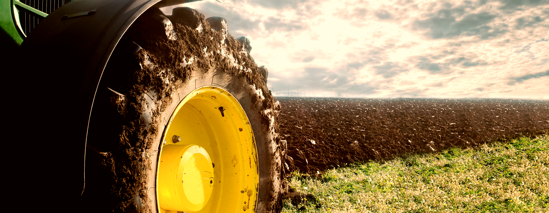 Traktor auf dem Feld