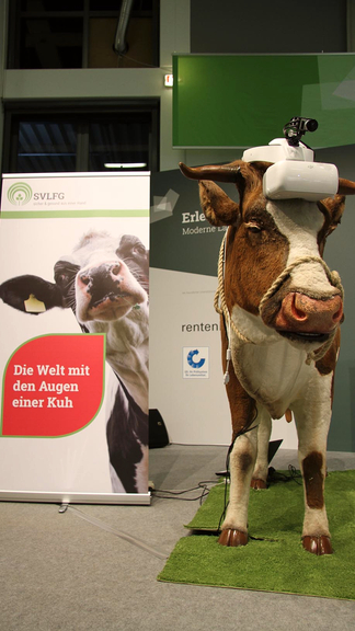 Vergrößerung des Bildes für .