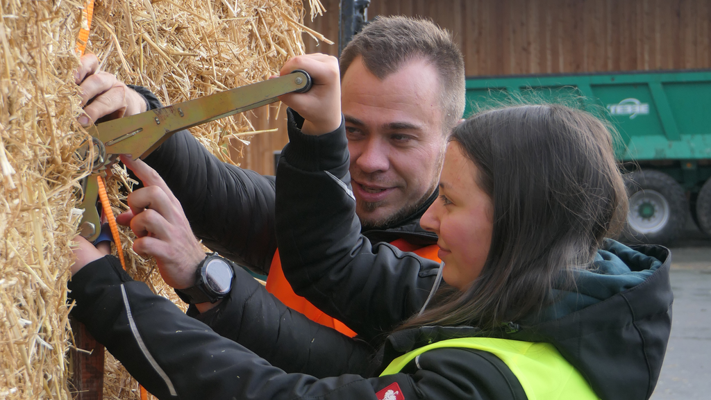 Vergrößerung des Bildes für Mann in Warnweste hilft junger Frau bei dem Verzurren eines Gurtes für die Sicherung von Strohballen auf einem Anhänger..