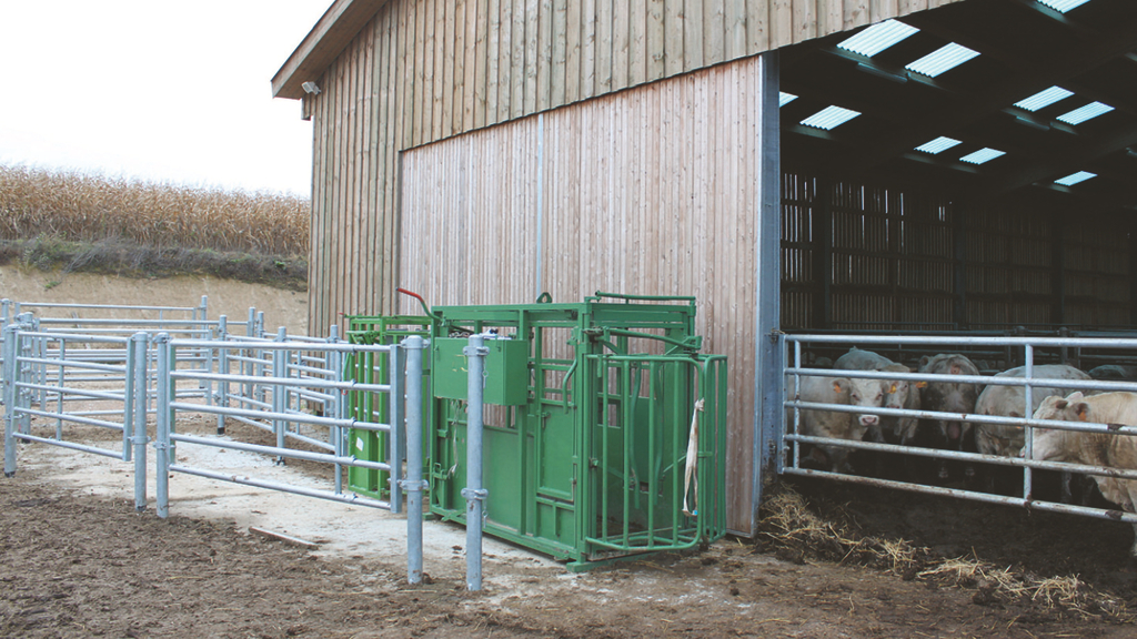 Vergrößerung des Bildes für Fang- und Behandlungsanlage seitlich am Stall.