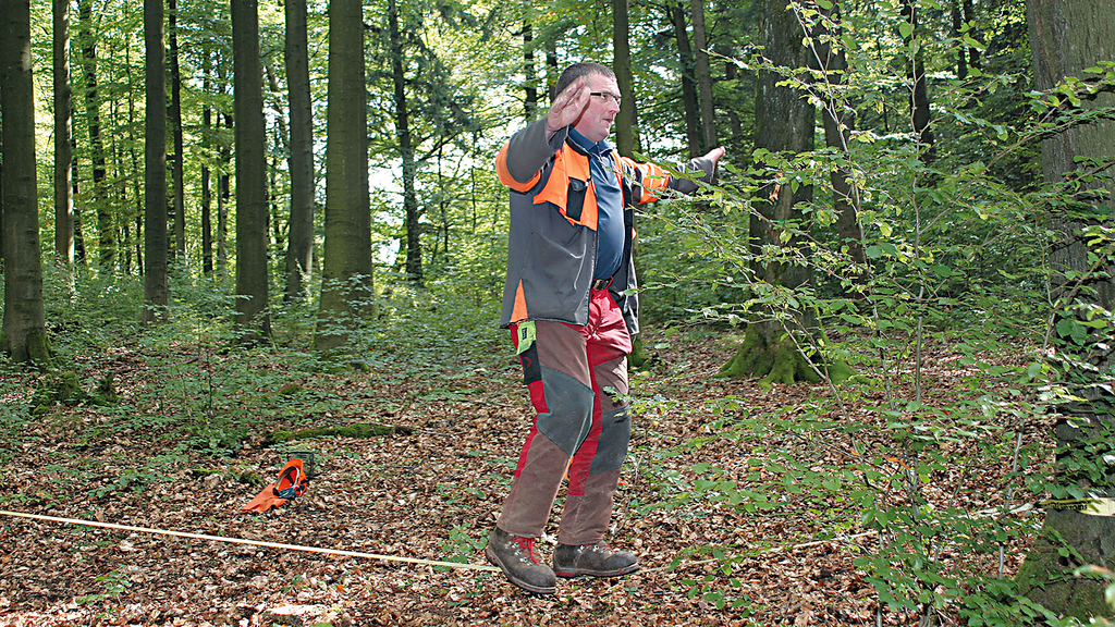Vergrößerung des Bildes für Mann balanciert im Wald auf einer zwischen zwei Bäumen gespannten Slackline..