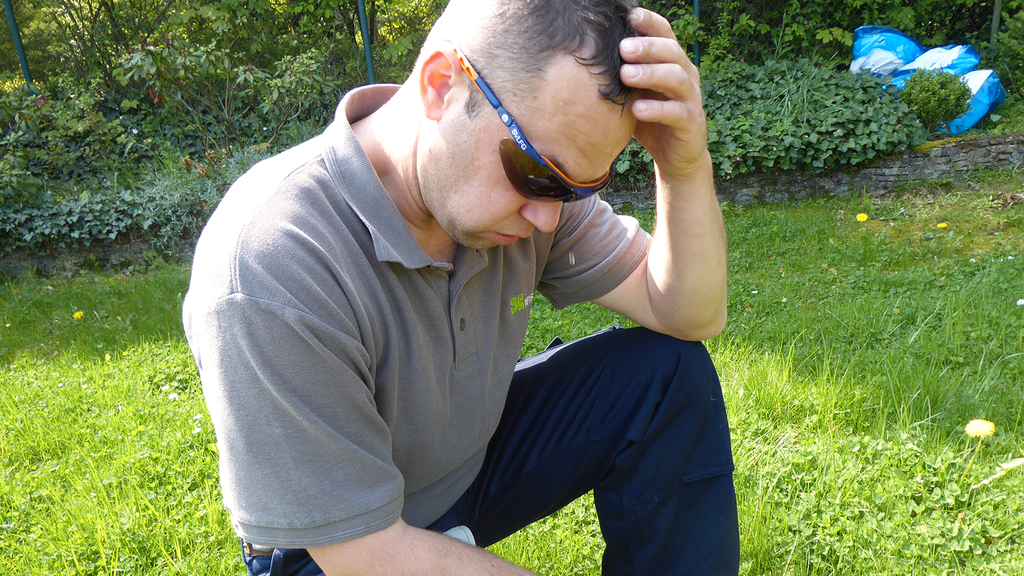 Vergrößerung des Bildes für .